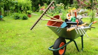 Orticoltura biologica e Giardinaggio