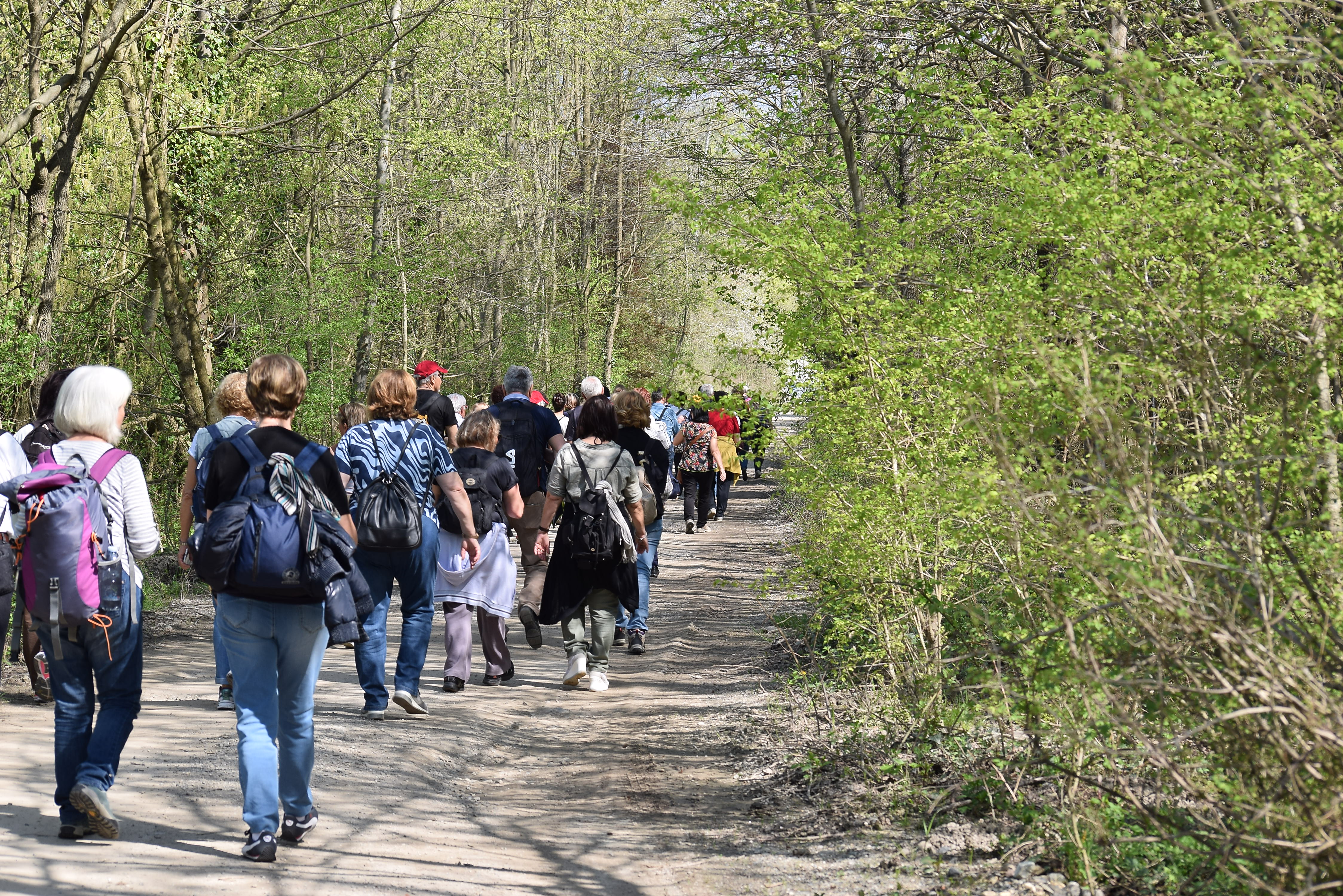 Passeggiate ed Escursioni naturalistiche e culturali / Orienteering