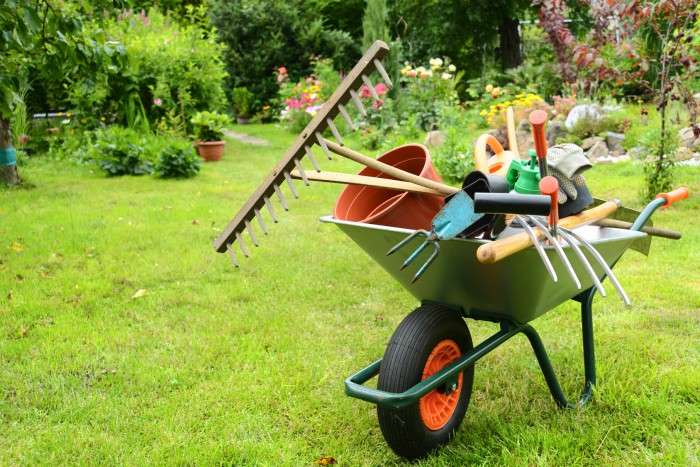 Orticoltura biologica e Giardinaggio