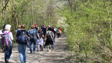 Passeggiate ed Escursioni naturalistiche e culturali / Orienteering